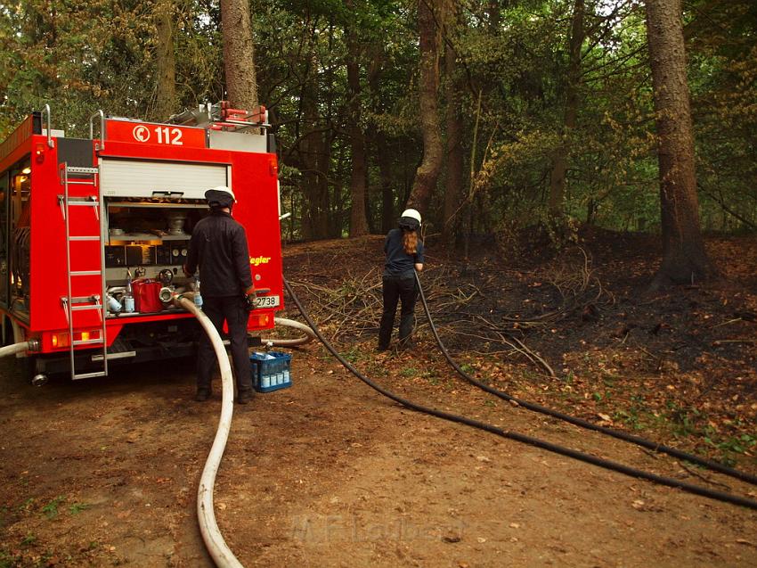 Waldbrand Bergisch Gladbach Bensberg P161.JPG